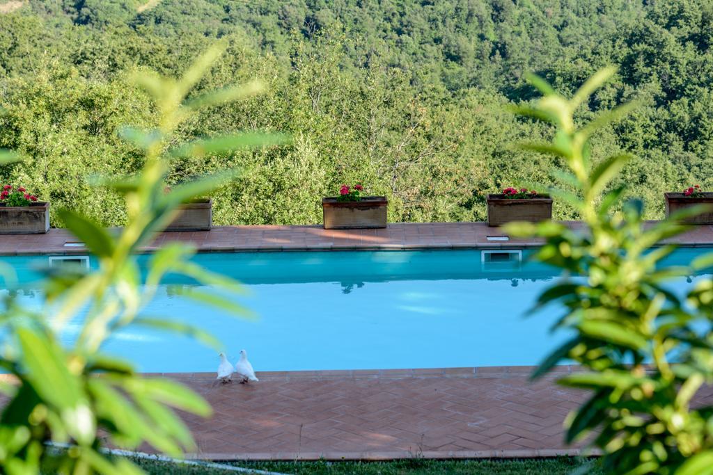 Agriturismo Fattoria Di Gratena Arezzo Exterior foto