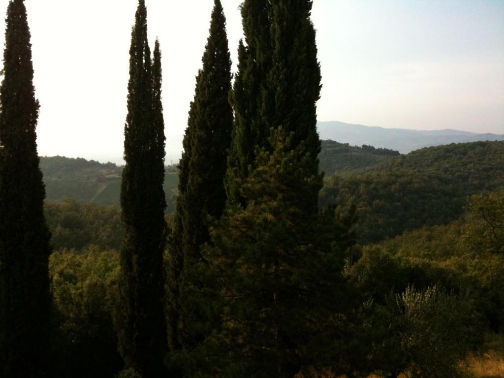 Agriturismo Fattoria Di Gratena Arezzo Exterior foto