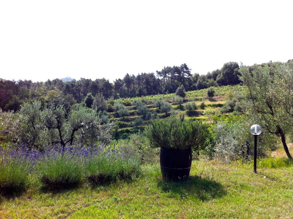 Agriturismo Fattoria Di Gratena Arezzo Exterior foto